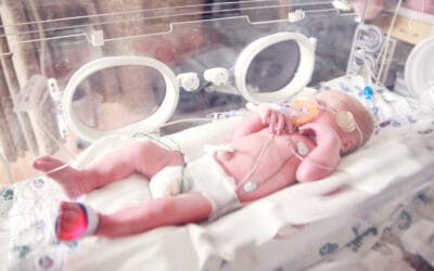 The new Ward Acuity Tool – February 2023: