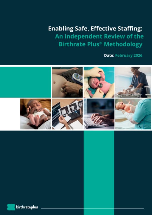 Methodology Review Report cover